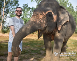 Elephant Jungle Sanctuary excursion in Pattaya Thailand - photo 151