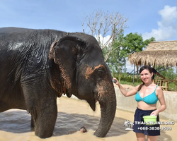 Elephant Jungle Sanctuary excursion in Pattaya Thailand - photo 436