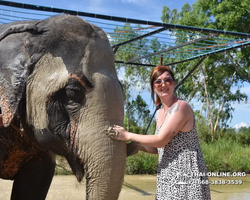 Elephant Jungle Sanctuary excursion in Pattaya Thailand - photo 80