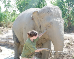 Elephant Jungle Sanctuary excursion in Pattaya Thailand - photo 179