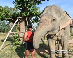 Elephant Jungle Sanctuary excursion in Pattaya Thailand - photo 44