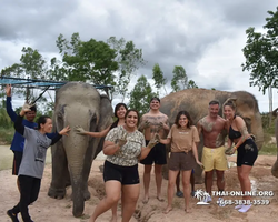 Elephant Jungle Sanctuary excursion in Pattaya Thailand - photo 509