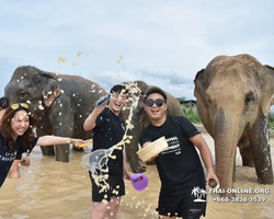 Elephant Jungle Sanctuary excursion in Pattaya Thailand - photo 957