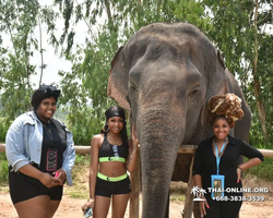 Elephant Jungle Sanctuary excursion in Pattaya Thailand - photo 136