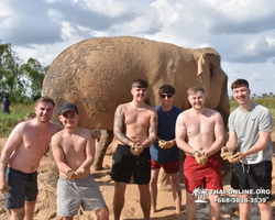 Elephant Jungle Sanctuary excursion in Pattaya Thailand - photo 447