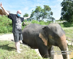 Elephant Jungle Sanctuary excursion in Pattaya Thailand - photo 173