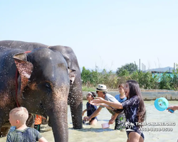 Elephant Jungle Sanctuary excursion in Pattaya Thailand - photo 697