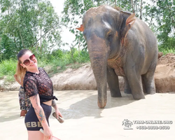 Elephant Jungle Sanctuary excursion in Pattaya Thailand - photo 134
