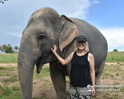 Elephant Jungle Sanctuary excursion in Pattaya Thailand - photo 783