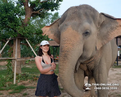 Elephant Jungle Sanctuary excursion in Pattaya Thailand - photo 178