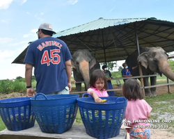 Elephant Jungle Sanctuary excursion in Pattaya Thailand - photo 802