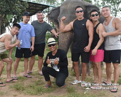 Elephant Jungle Sanctuary excursion in Pattaya Thailand - photo 351