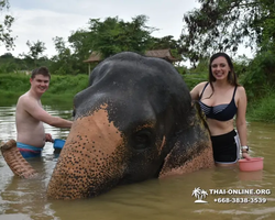 Elephant Jungle Sanctuary excursion in Pattaya Thailand - photo 645