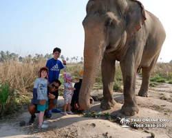 Elephant Jungle Sanctuary excursion in Pattaya Thailand - photo 422