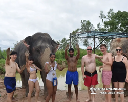 Elephant Jungle Sanctuary excursion in Pattaya Thailand - photo 702