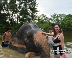 Elephant Jungle Sanctuary excursion in Pattaya Thailand - photo 429