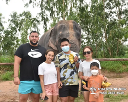 Elephant Jungle Sanctuary excursion in Pattaya Thailand - photo 131