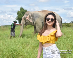 Elephant Jungle Sanctuary excursion in Pattaya Thailand - photo 1065