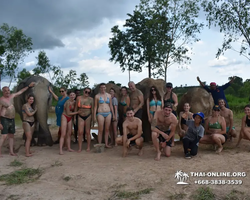 Elephant Jungle Sanctuary excursion in Pattaya Thailand - photo 346