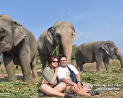 Elephant Jungle Sanctuary excursion in Pattaya Thailand - photo 642