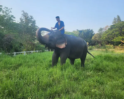 Elephant Jungle Sanctuary excursion in Pattaya Thailand - photo 248