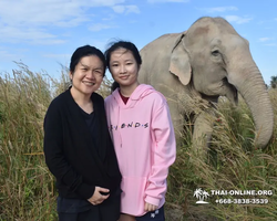 Elephant Jungle Sanctuary excursion in Pattaya Thailand - photo 636