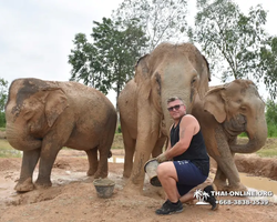 Elephant Jungle Sanctuary excursion in Pattaya Thailand - photo 164