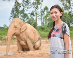 Elephant Jungle Sanctuary excursion in Pattaya Thailand - photo 843