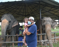 Elephant Jungle Sanctuary excursion in Pattaya Thailand - photo 838