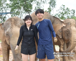 Elephant Jungle Sanctuary excursion in Pattaya Thailand - photo 449