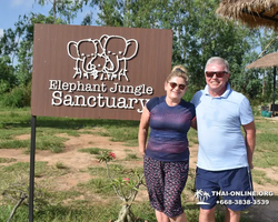 Elephant Jungle Sanctuary excursion in Pattaya Thailand - photo 29