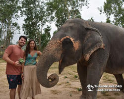 Elephant Jungle Sanctuary excursion in Pattaya Thailand - photo 128