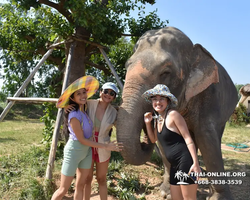 Elephant Jungle Sanctuary excursion in Pattaya Thailand - photo 50