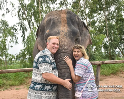 Elephant Jungle Sanctuary excursion in Pattaya Thailand - photo 40