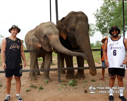 Elephant Jungle Sanctuary excursion in Pattaya Thailand - photo 714