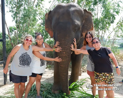 Elephant Jungle Sanctuary excursion in Pattaya Thailand - photo 32