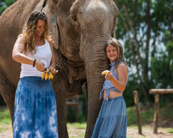 Elephant Jungle Sanctuary excursion in Pattaya Thailand - photo 511