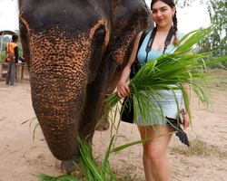 Elephant Jungle Sanctuary excursion in Pattaya Thailand - photo 180