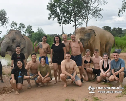 Elephant Jungle Sanctuary excursion in Pattaya Thailand - photo 567