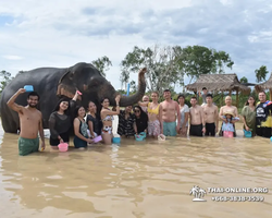 Elephant Jungle Sanctuary excursion in Pattaya Thailand - photo 839