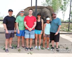 Elephant Jungle Sanctuary excursion in Pattaya Thailand - photo 630