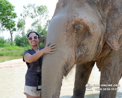 Elephant Jungle Sanctuary excursion in Pattaya Thailand - photo 570