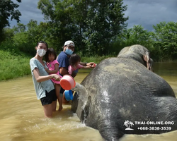 Elephant Jungle Sanctuary excursion in Pattaya Thailand - photo 472