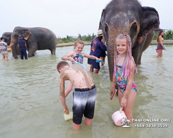 Elephant Jungle Sanctuary excursion in Pattaya Thailand - photo 942