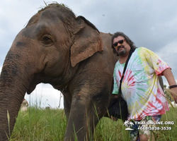Elephant Jungle Sanctuary excursion in Pattaya Thailand - photo 928