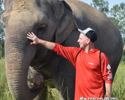 Elephant Jungle Sanctuary excursion in Pattaya Thailand - photo 397