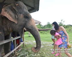 Elephant Jungle Sanctuary excursion in Pattaya Thailand - photo 684