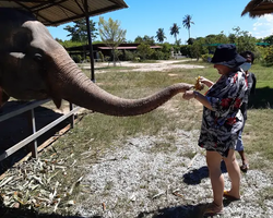 Elephant Jungle Sanctuary excursion in Pattaya Thailand - photo 7