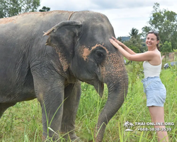 Elephant Jungle Sanctuary excursion in Pattaya Thailand - photo 325