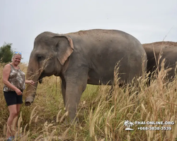 Elephant Jungle Sanctuary excursion in Pattaya Thailand - photo 701